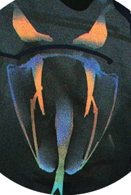 Crawling Cobras Logo CPRED