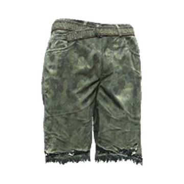 Duolayer military camo shorts | Cyberpunk Wiki | Fandom