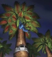 The palm tree eating Brendan