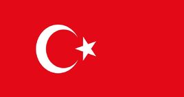 Turkey Flag 2020