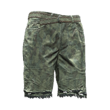 Duolayer military camo shorts, Cyberpunk Wiki