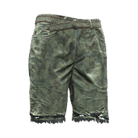 Duolayer military camo shorts | Cyberpunk Wiki | Fandom