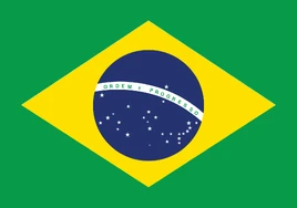 Flag of Brazil 2020