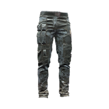 Lined Cargo Pants