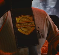 Netwatch badge.jpg (635 KB) Odznaka funkcjonariusza sieci