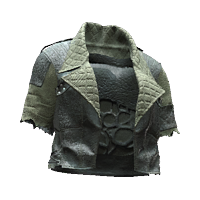 Punk short-sleeve dual-membrane jacket | Cyberpunk Wiki | Fandom