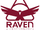 Raven Microcybernetics