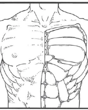 dynalar gradiated subdermal armor torso cyberpunk wiki fandom dynalar gradiated subdermal armor