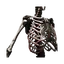 Endoskeleton