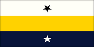 Night City flag