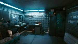 V's apartment stash room.