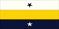 Night City Flag CP2077