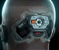 Podłączenie do kory mózgowej