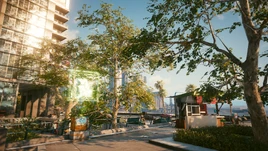 Парке-дель-Мар-1