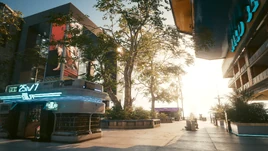 Площадь Палмс-Вью-1