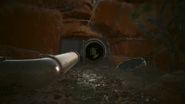 Неусыпный дозор