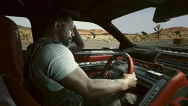 Возвращение домой