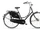 Batavus