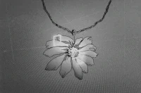 Daisy Necklace