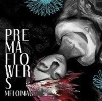 Unreleased Cover Art by Aubergine Chan