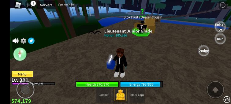 blox fruit picture max level