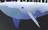 Bigwhales90