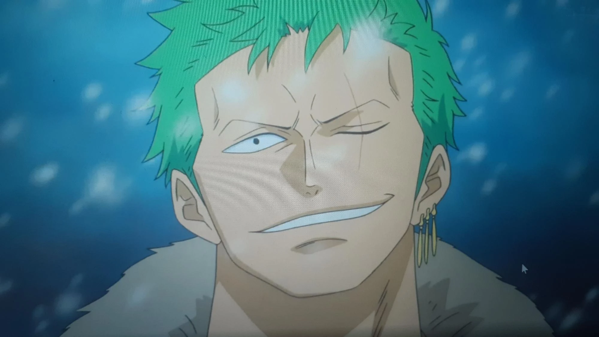 Zoro (punk hazard) Fandom