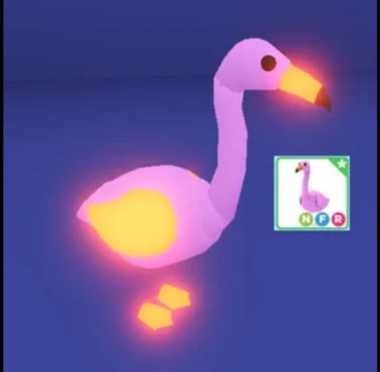 Flamingo Adopt Me | ppgbbe.intranet.biologia.ufrj.br