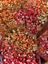 RosesOfSilver.'s avatar