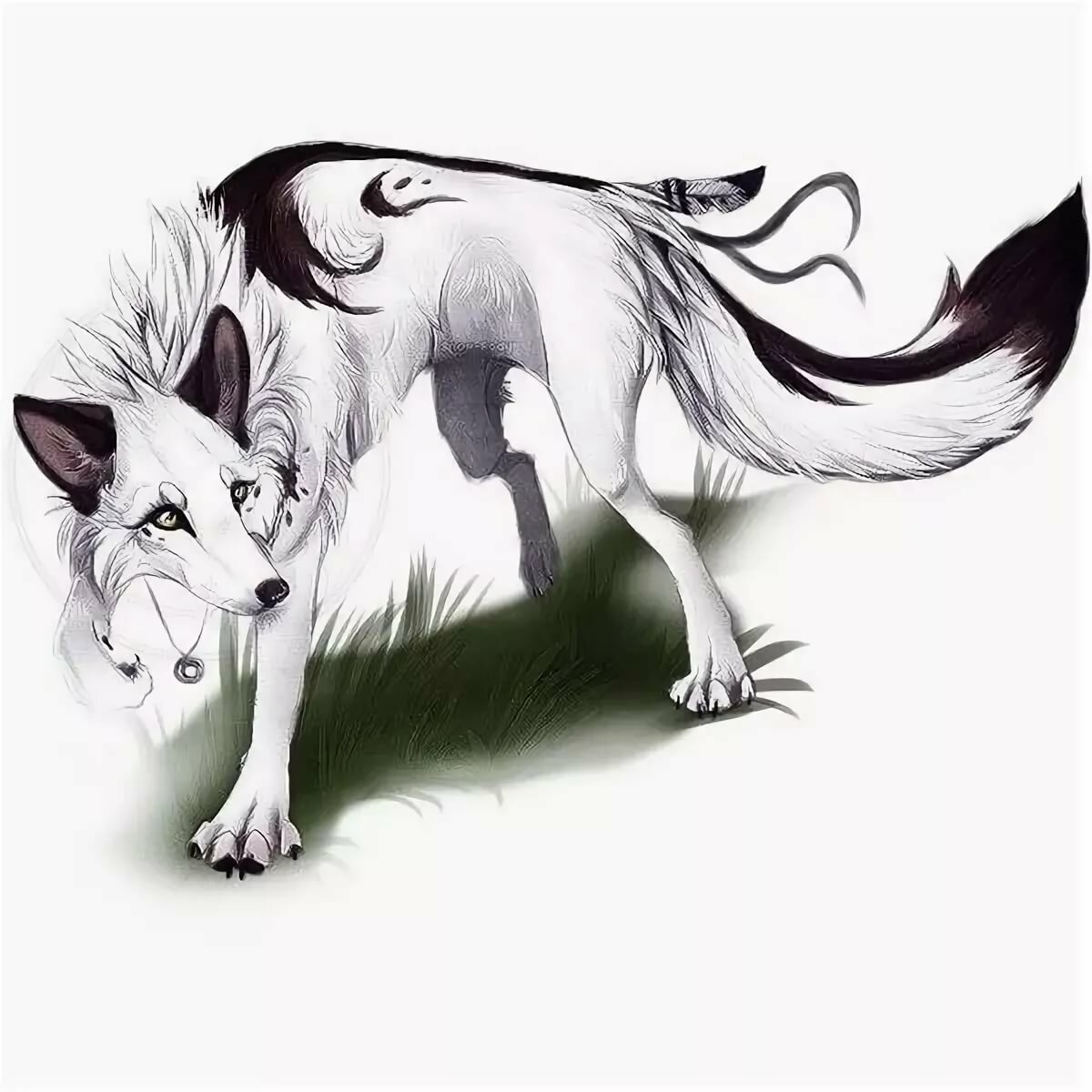 Белый волк аниме