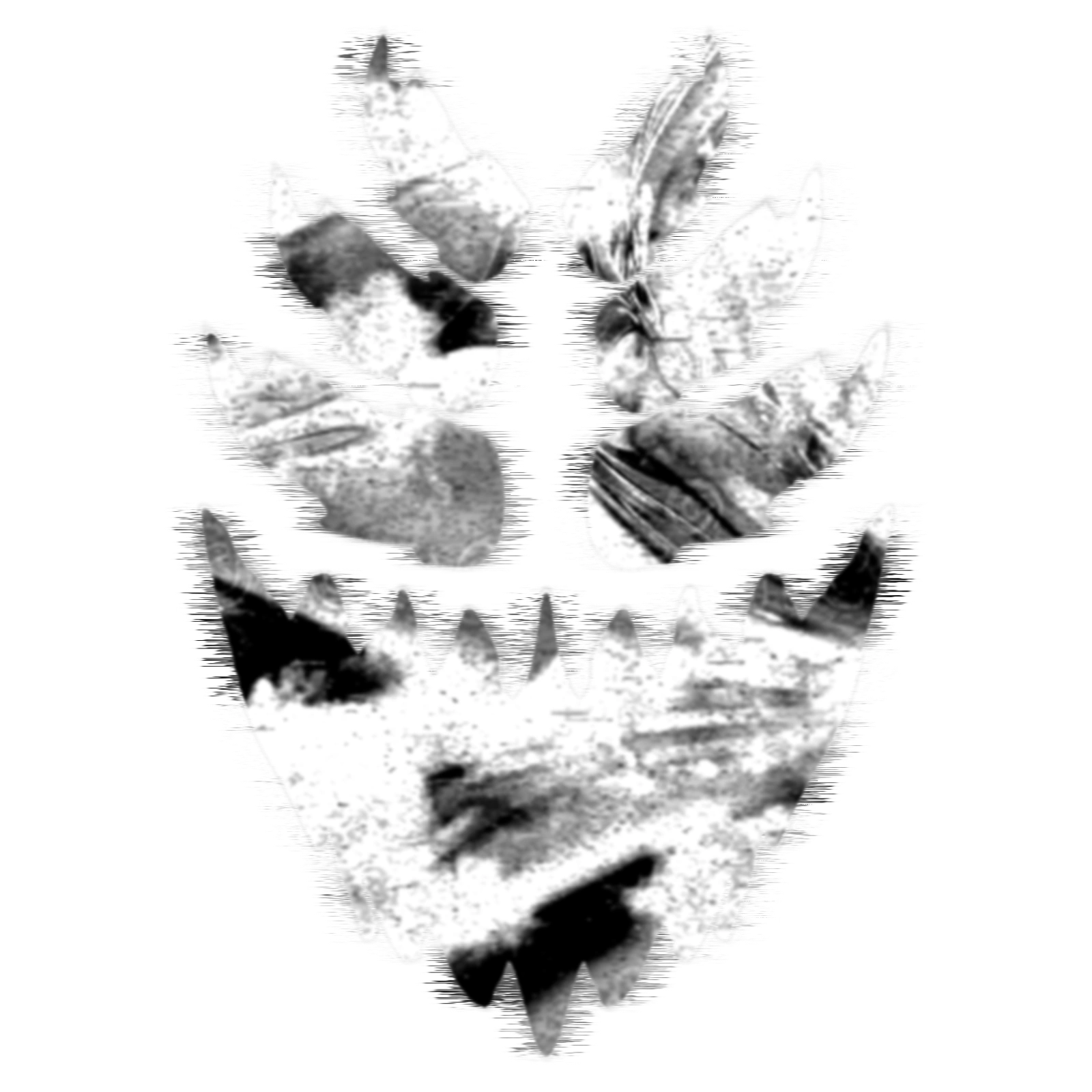 C2750 (The Faking Insanity) Fandom