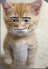 Idkvaluesplsteachme's avatar