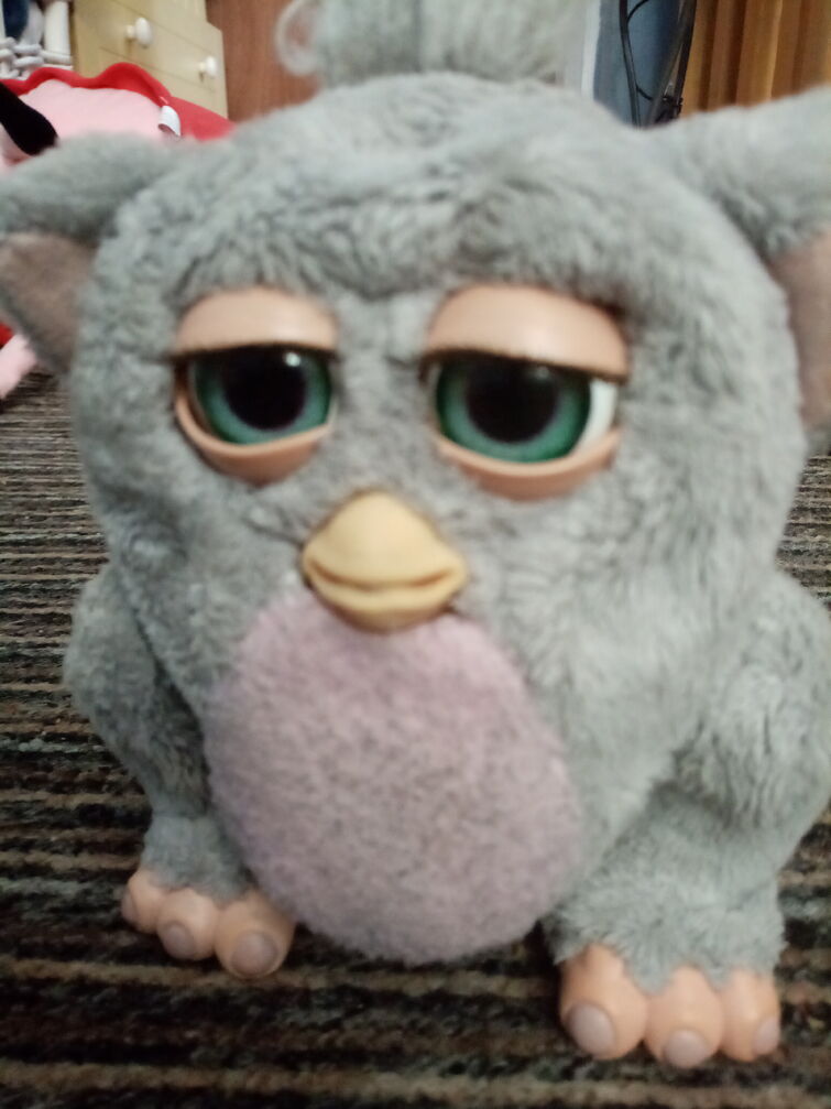 Fandom Image