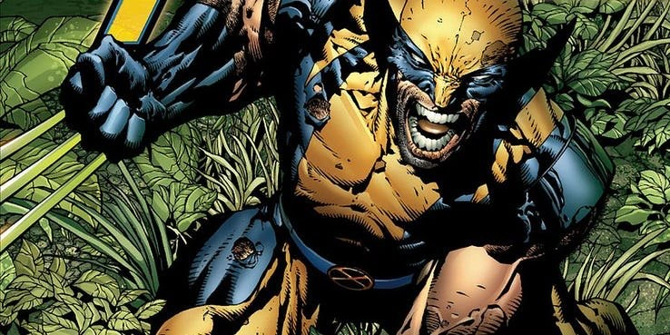 The First Look: Wolverine | Fandom
