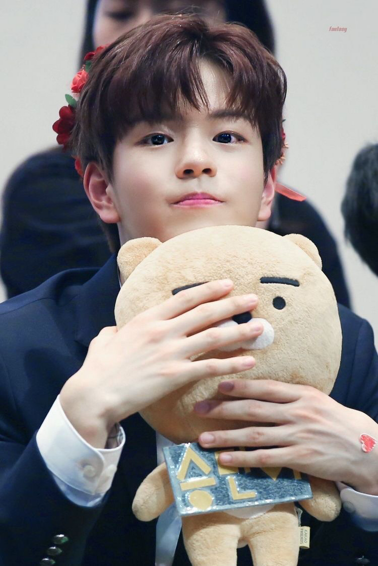 Discuss Everything About Kpop Wiki | Fandom