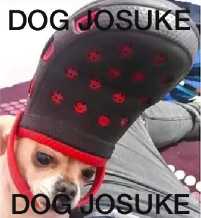 Josuke Dog Josuke Dog Fandom - doge heaven roblox