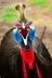 Mythic Cassowary's avatar