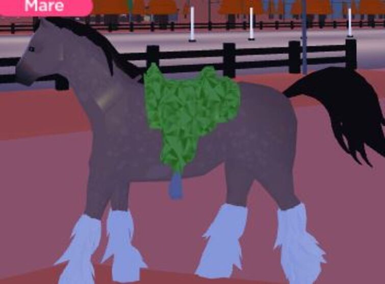 Quarter Horse, Horse Valley 2 ROBLOX Wiki