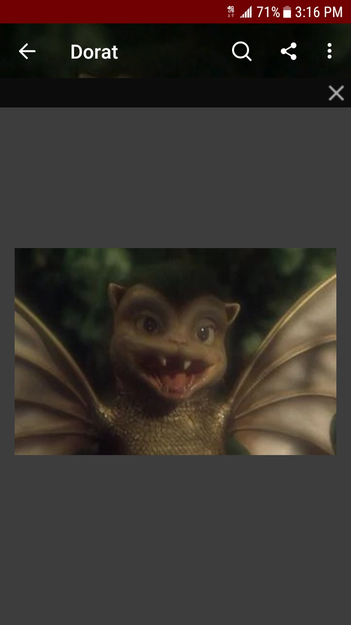 Pet Dorat S Fandom
