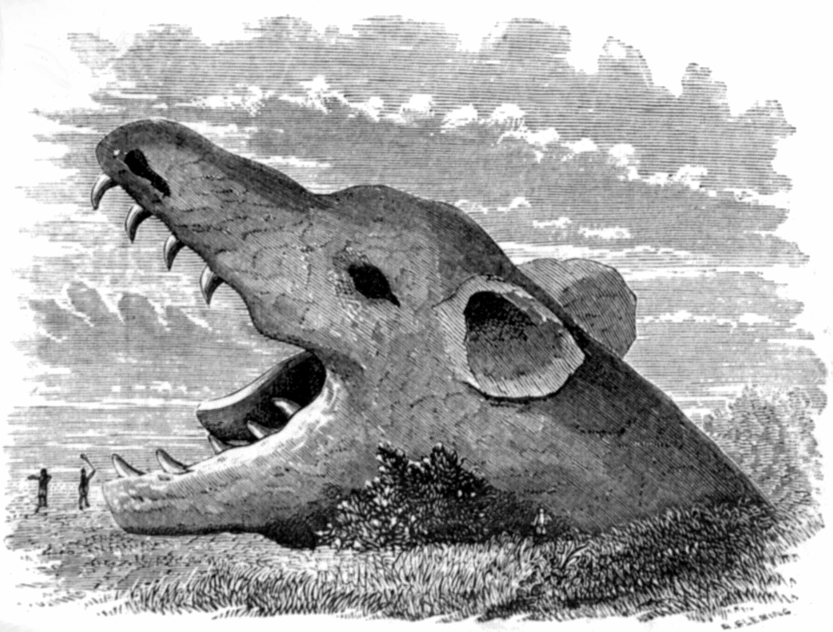 Fenrir | d20 NPC Wiki | Fandom