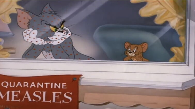 cheese house episode of Tom and Jerry : r/nostalgia