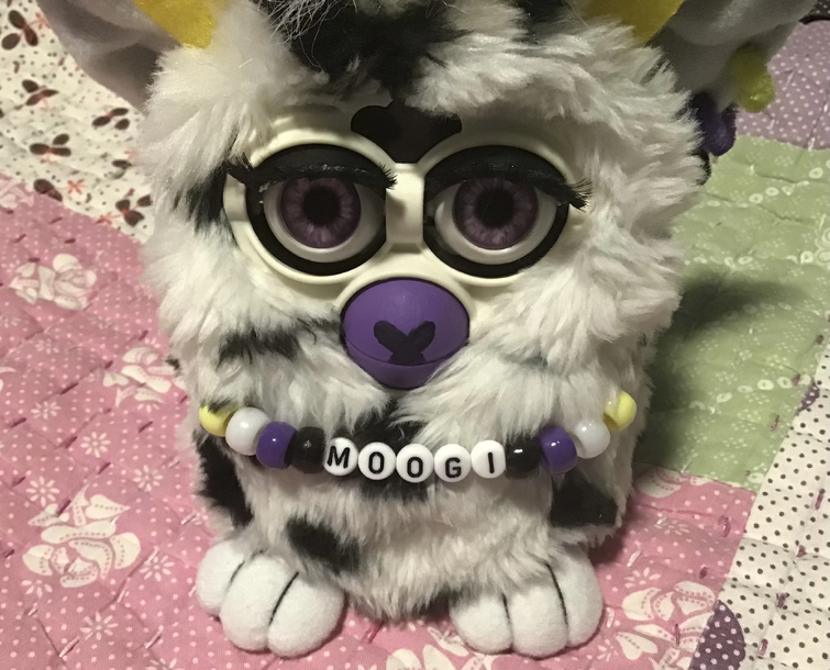 Fandom Image