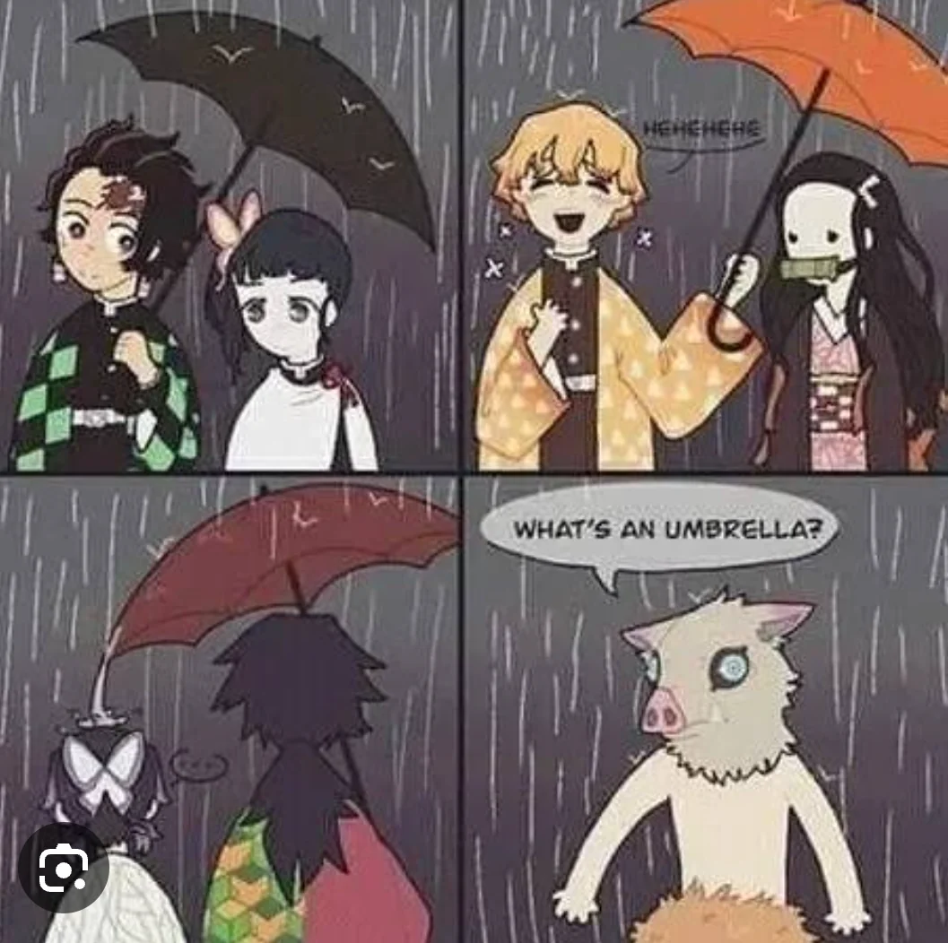 Demon Slayer memes Fandom