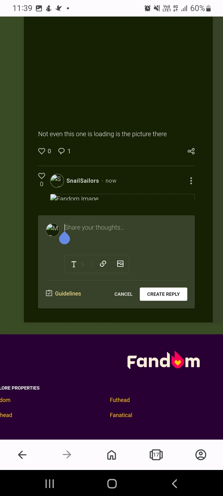 why arent my images loading Fandom