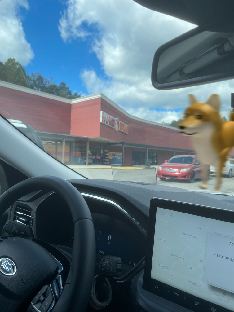 doge-found-photo-fandom