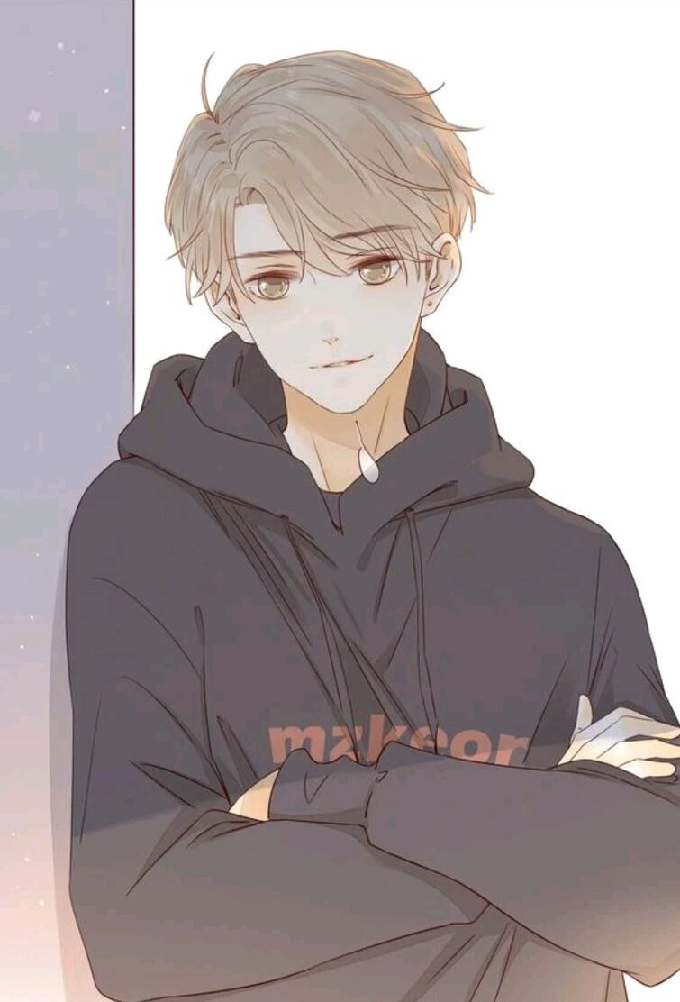 Fandom Image