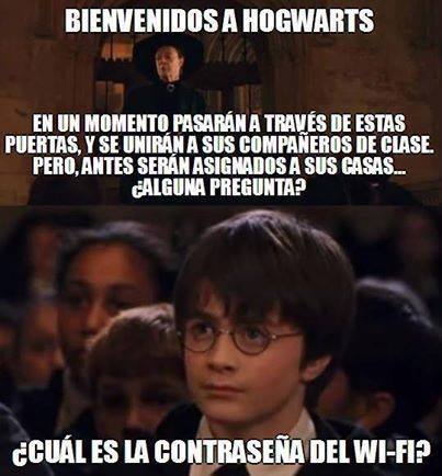 Harry Potter y Animales Fantásticos Chistes y Memes en Español.