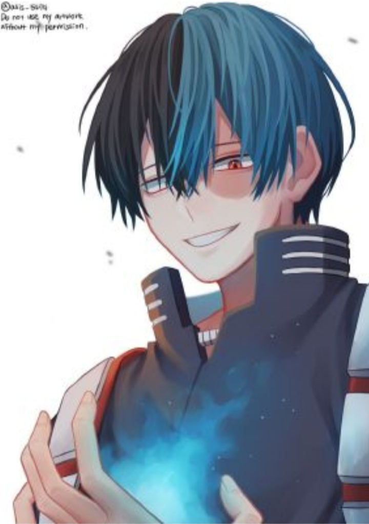 smile todoroki