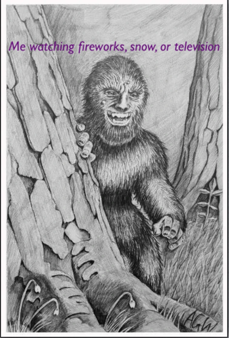 Discuss Everything About Cryptid Wiki | Fandom