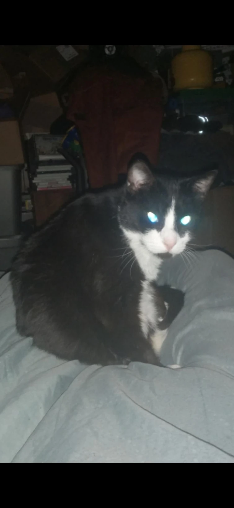 December Off Topic | Fandom